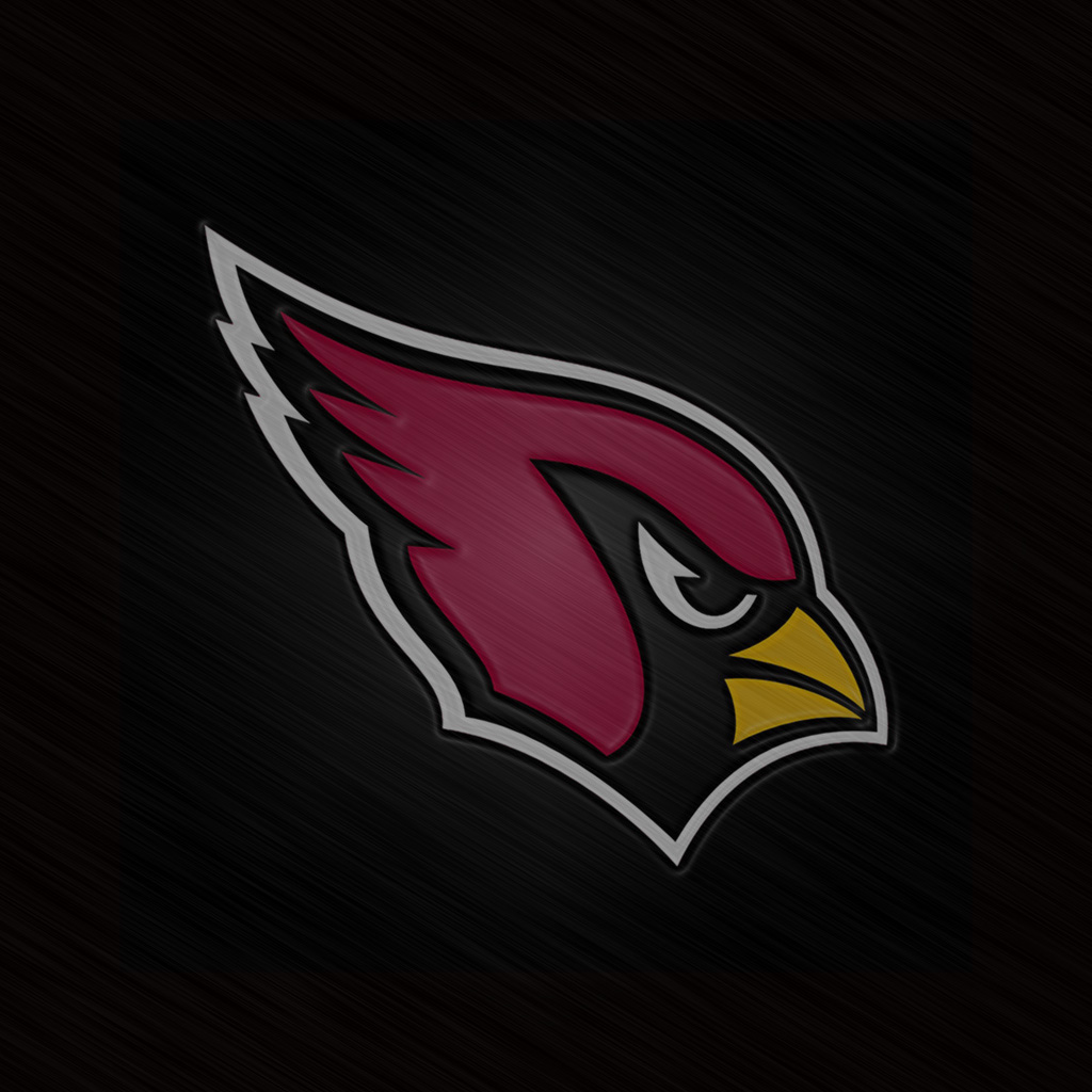 アリゾナカージナルス壁紙,鳥,鷲,図,グラフィックス (1008528) WallpaperUse