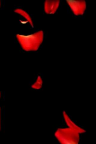 빨간 장미 라이브 배경 화면,빨간,잭 오 랜턴,검정,주황색,꽃잎