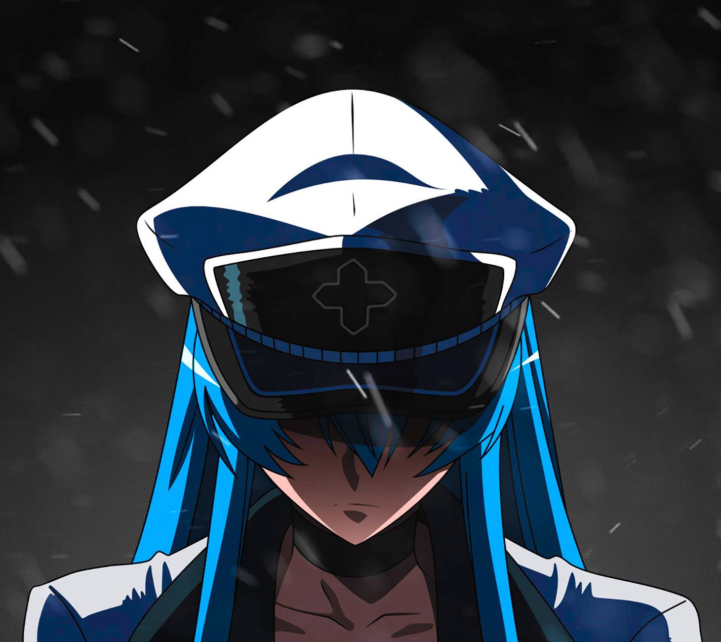 esdeath wallpaper,cartoon,anime,illustration,fictional character,graphic design