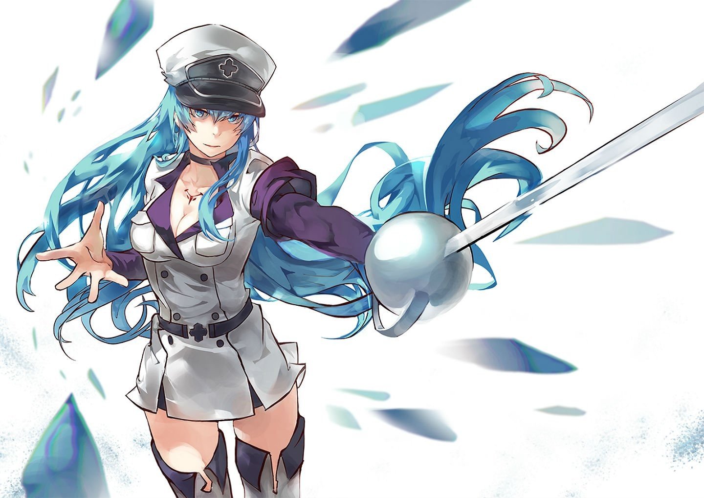 esdeath wallpaper,cartoon,anime,cg artwork,illustration,black hair