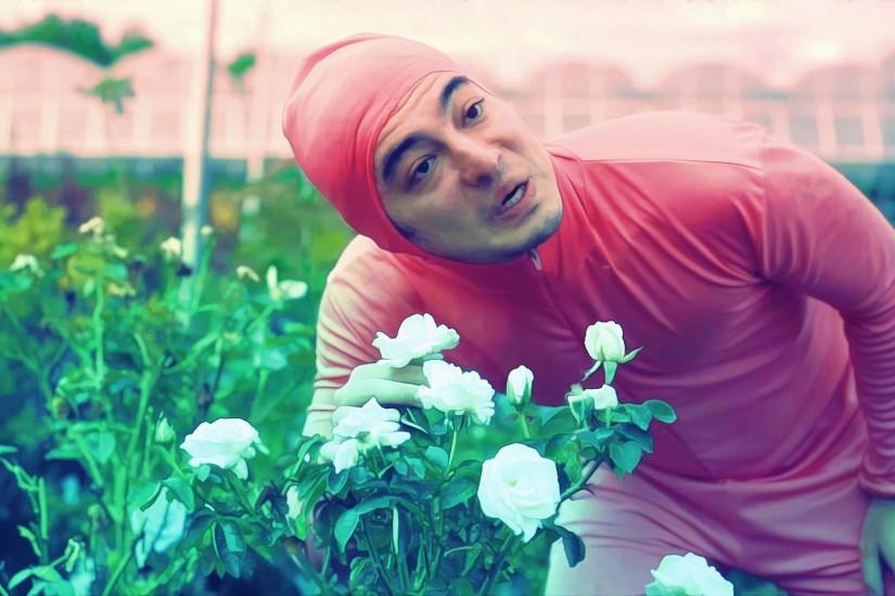 pink guy wallpaper,smile,plant,flower,grass,happy