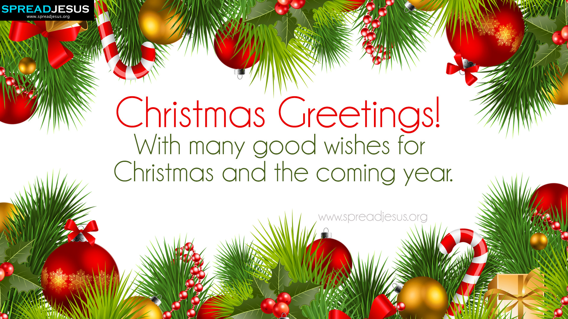 幸せなクリスマスの壁紙,自然食品,クリスマスの飾り,クリスマスツリー,クリスマス・イブ,木
