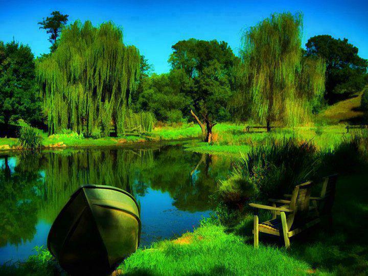 natural scene wallpaper,natural landscape,nature,reflection,water,vegetation