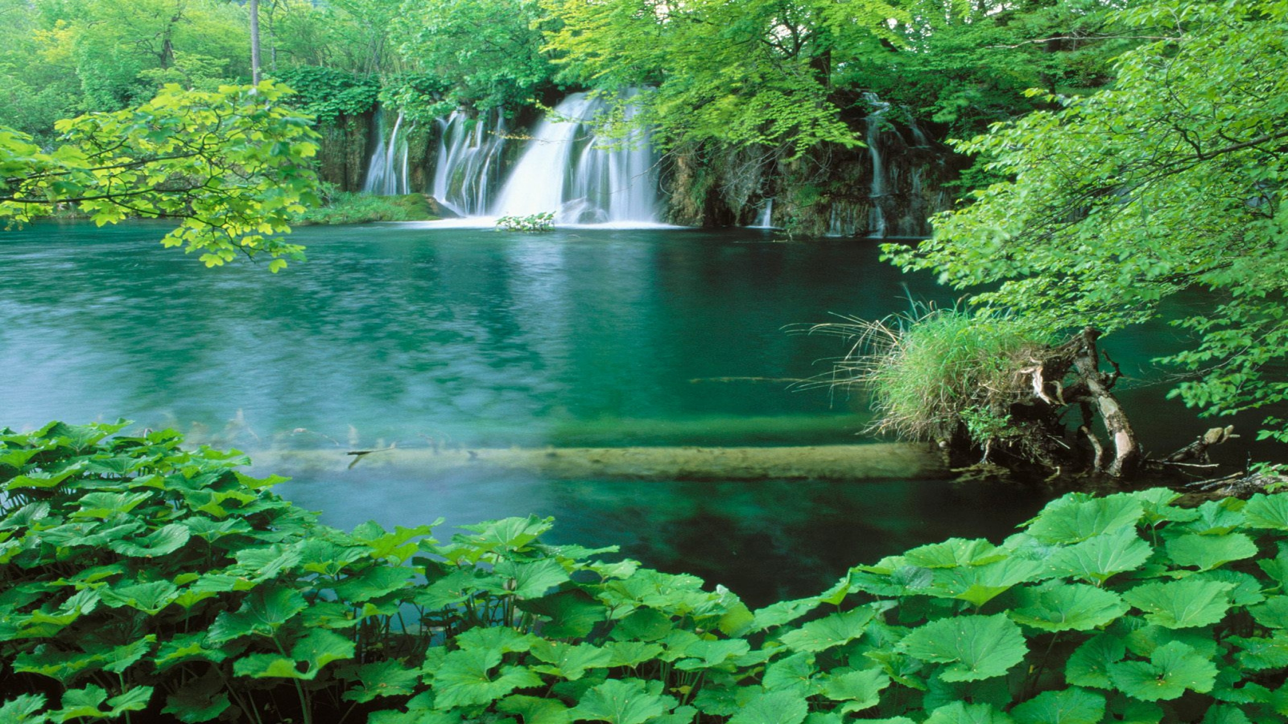 natürliche szene tapete,wasservorräte,gewässer,natürliche landschaft,natur,wasserfall