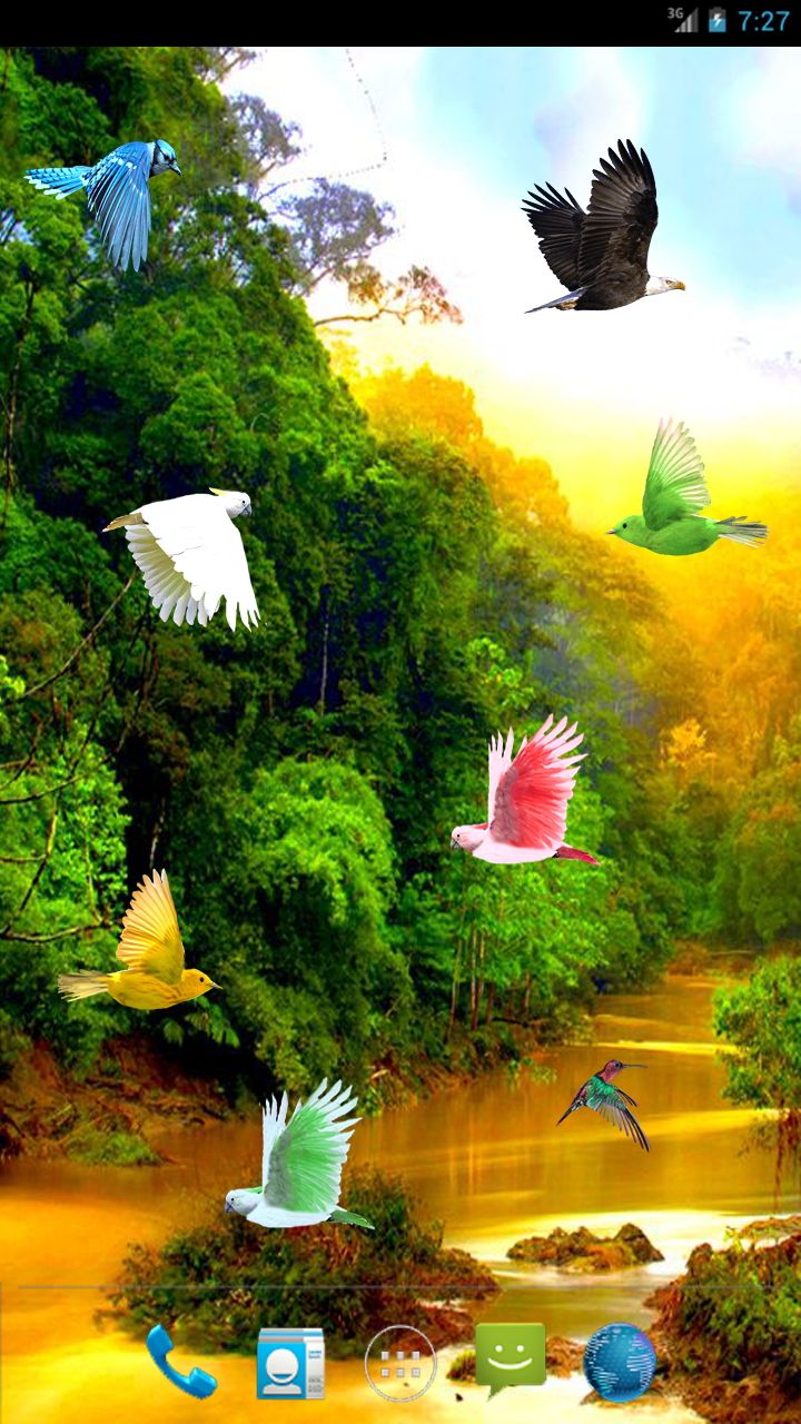 갤러리 라이브 배경 화면,자연 경관,자연,경치,나비,밀림