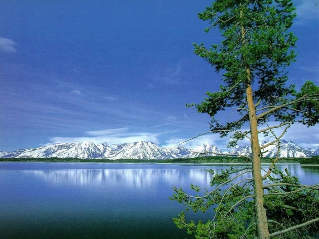 自然のシーンの壁紙,自然,自然の風景,空,水,木