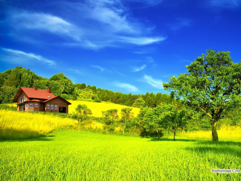 natural scene wallpaper,natural landscape,nature,grassland,sky,field