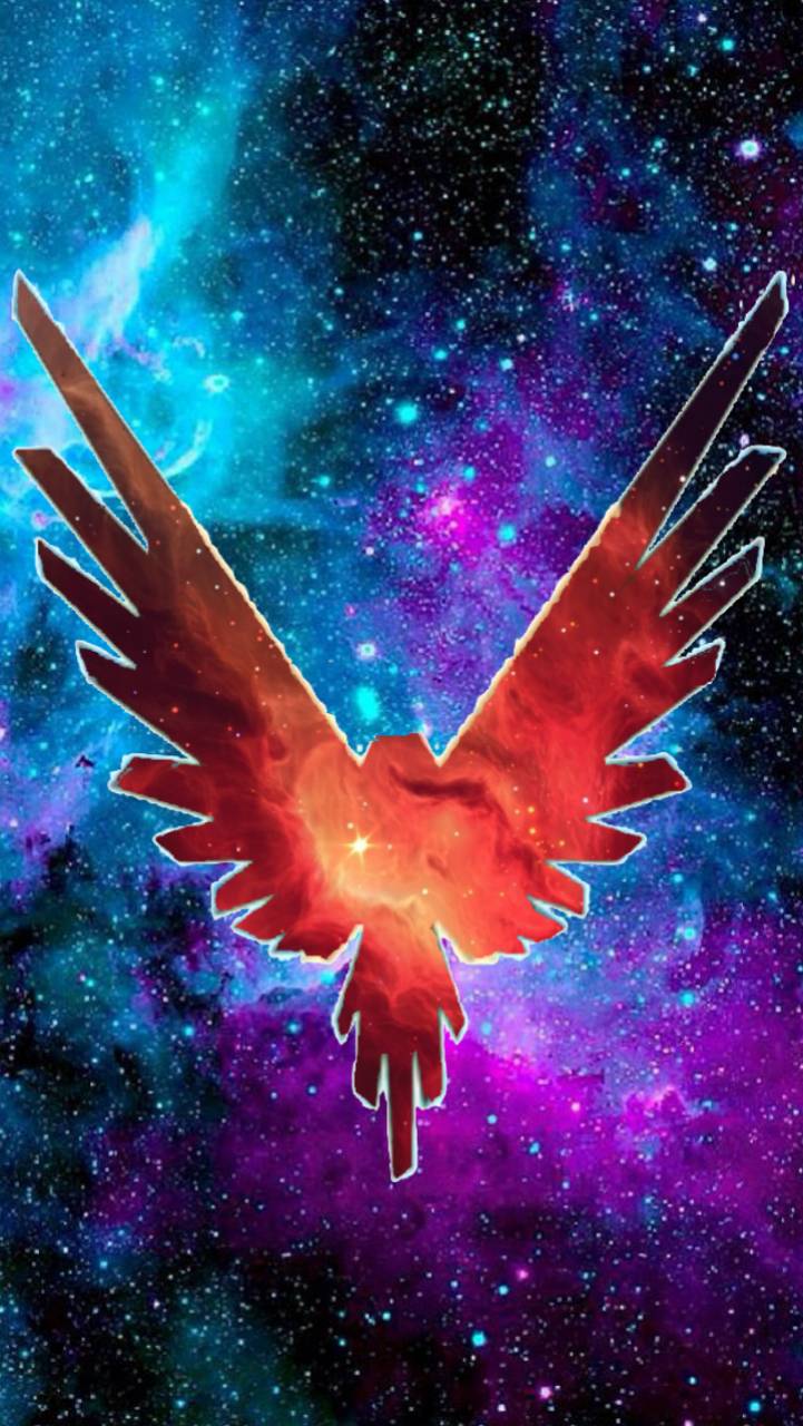 maverick wallpaper,bird,eagle,wing,illustration,space