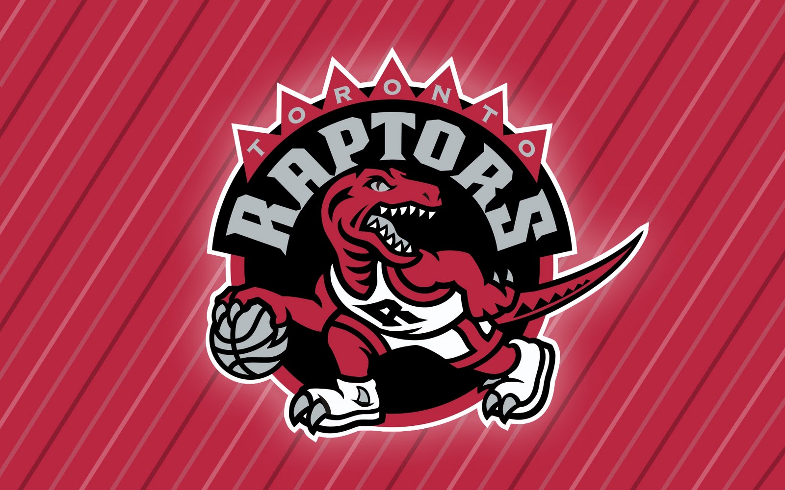 fond d'écran raptors toronto,rouge,police de caractère,rose,illustration,emblème