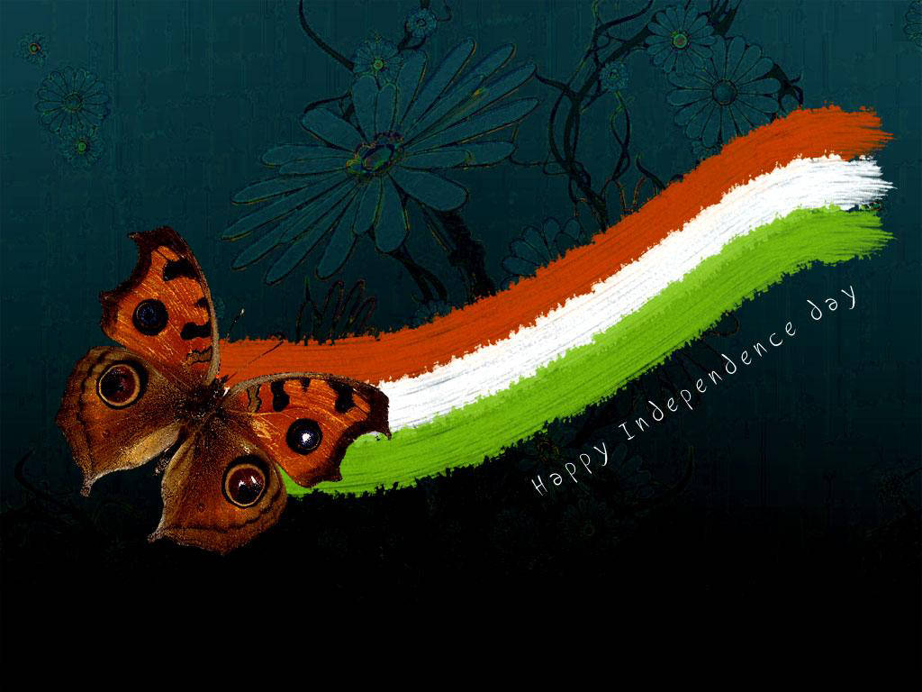 día de la independencia fondo de pantalla hd,ilustración,invertebrado,insecto