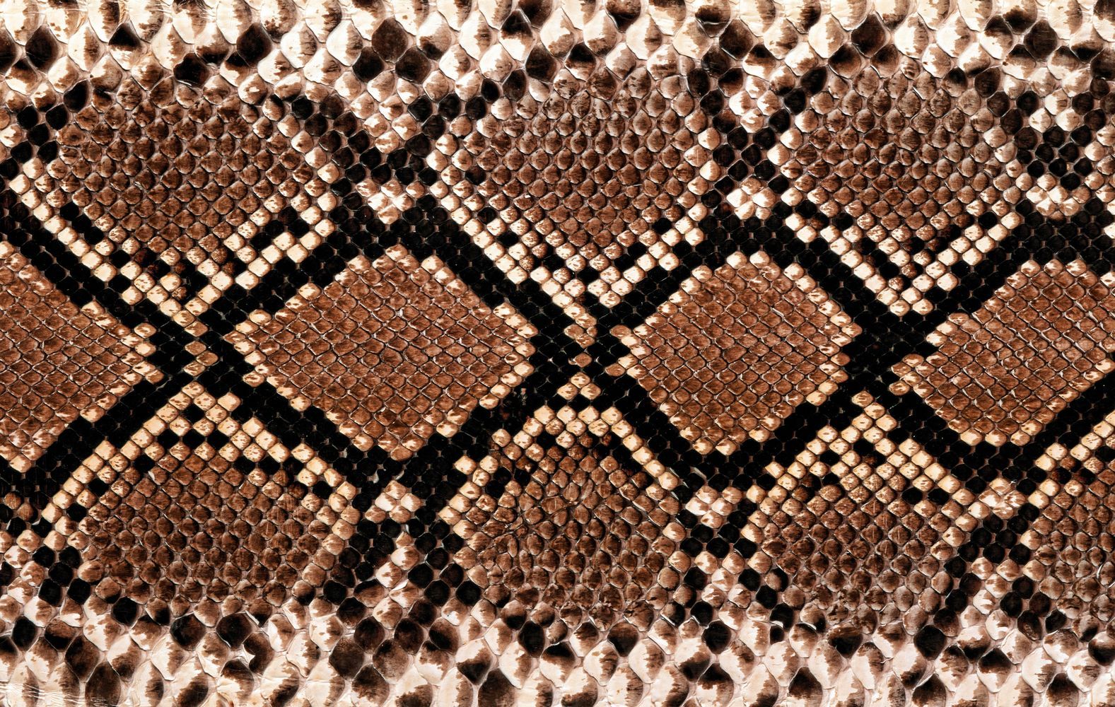 papel tapiz de piel,modelo,marrón,diseño,de cerca,textil