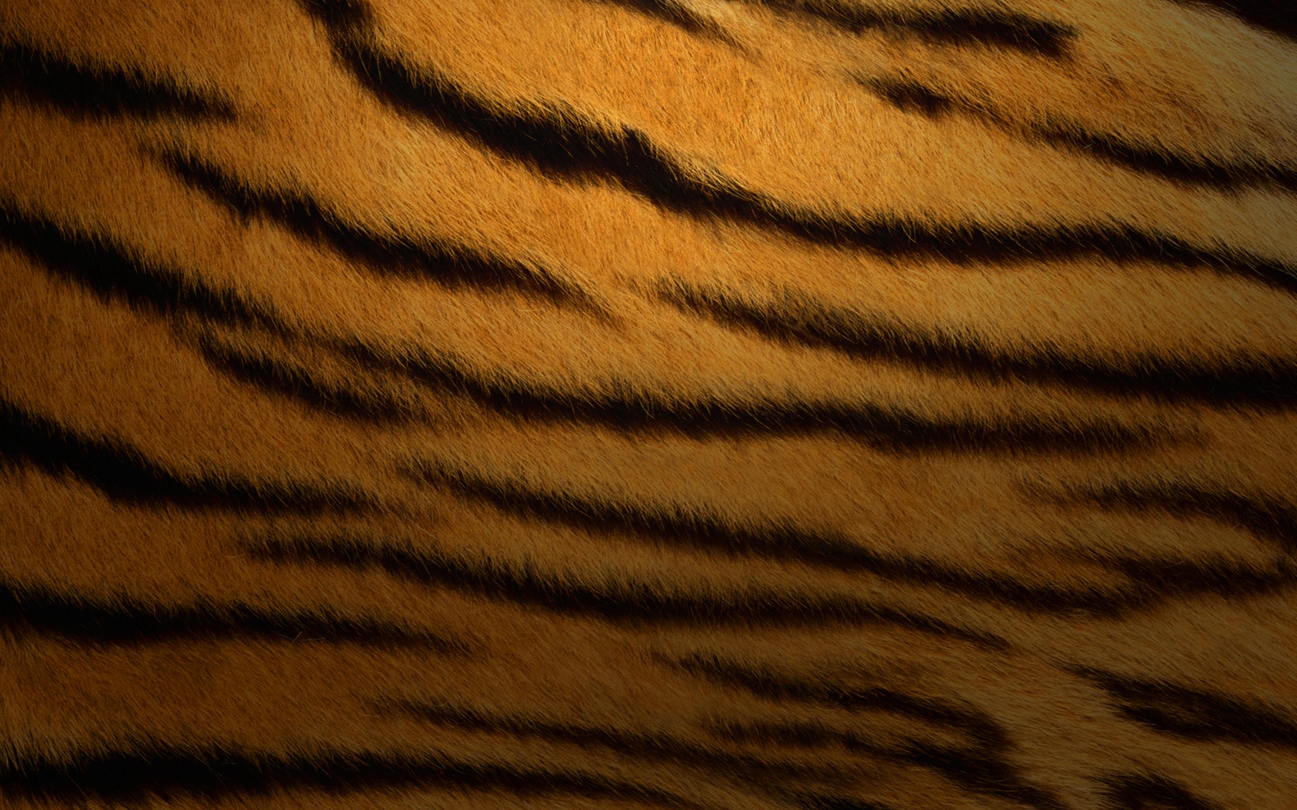 skin wallpaper,fur,wildlife,brown,close up,textile