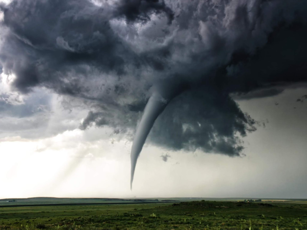 fondo de pantalla de tornado,tornado,nube,cielo,tormenta,árbol