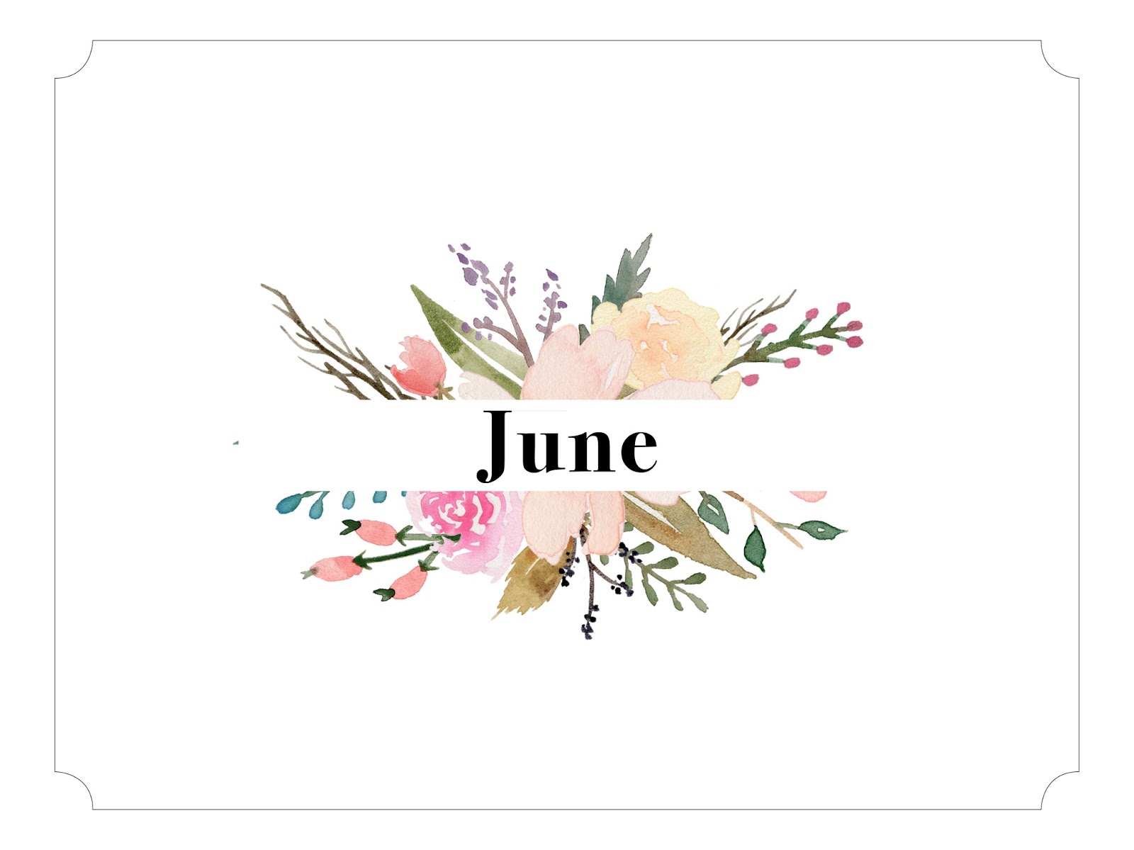 june wallpaper,text,pink,botany,font,plant