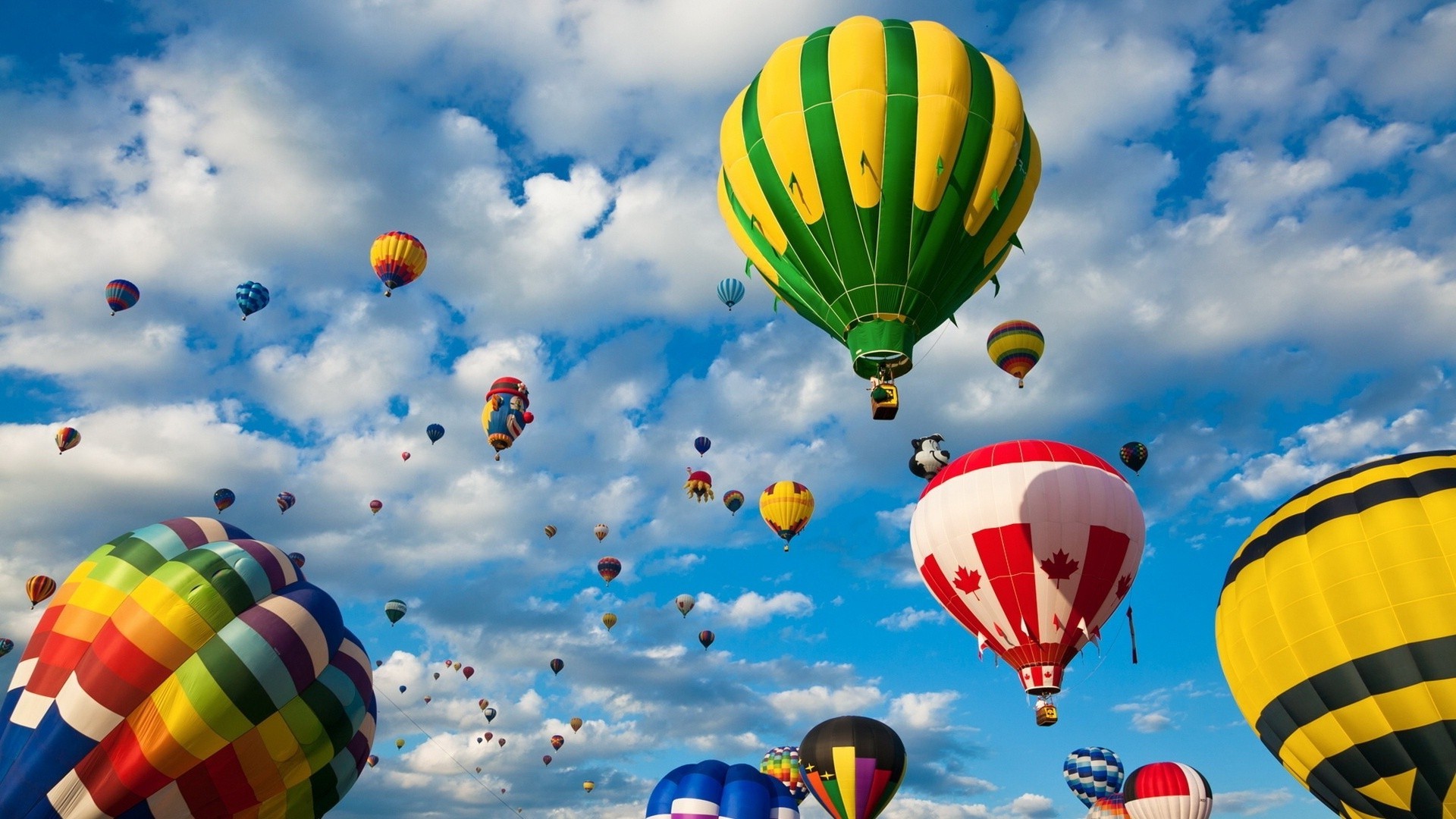 hot image hd wallpaper,hot air balloon,hot air ballooning,sky,daytime,mode of transport
