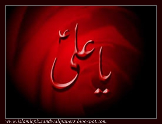 ali name wallpaper,red,calligraphy,text,still life photography,art