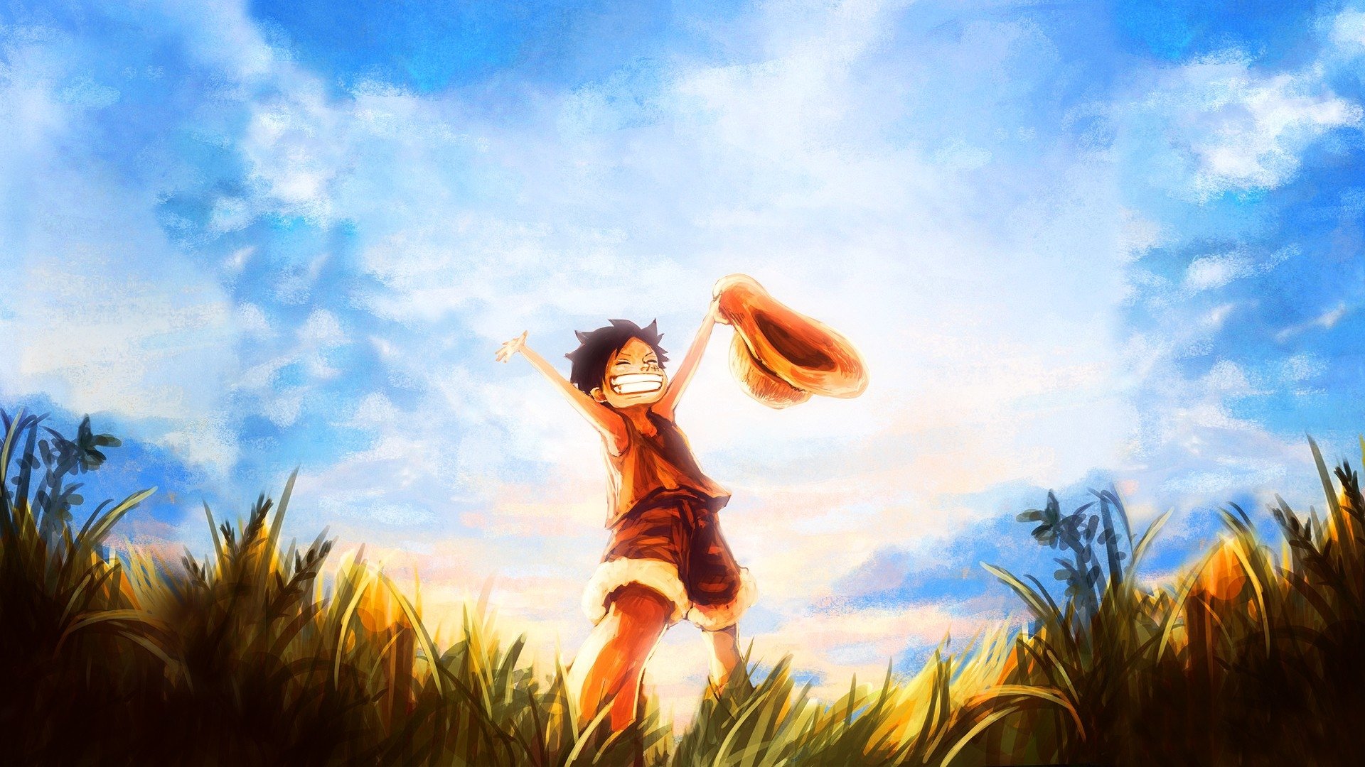 one piece luffy wallpaper,people in nature,sky,grass family,grass,happy