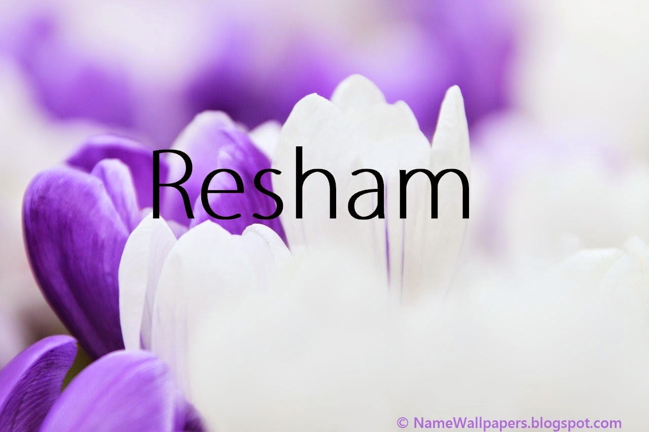 s naam ke wallpaper,petal,purple,violet,flower,text