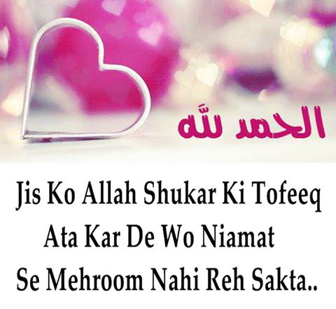 s naam ke wallpaper,text,pink,font,love,heart