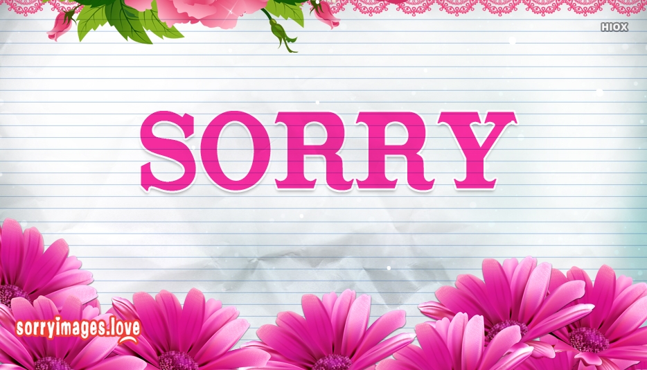 sorry wallpaper download,pink,text,petal,font,flower