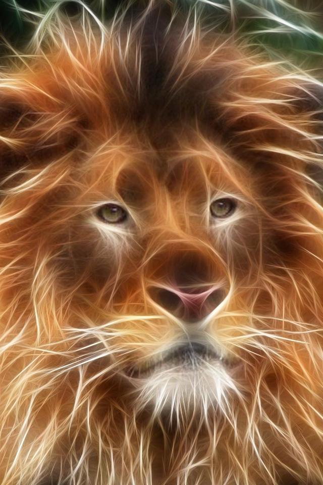 lion wallpaper iphone,hair,lion,face,felidae,whiskers