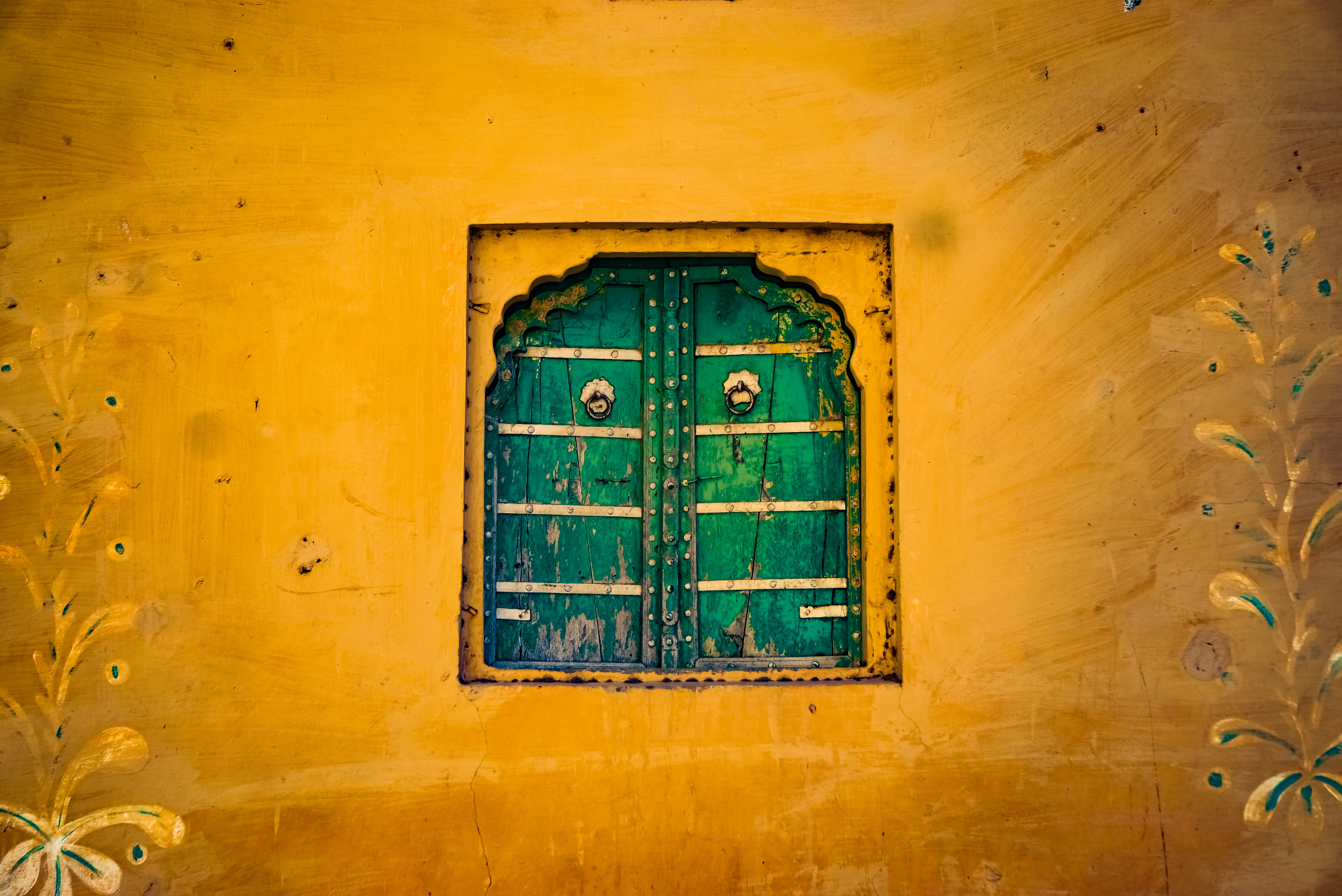 携帯電話用のrajput壁紙,緑,黄,壁,ドア,木材