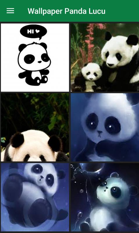 tapete panda lucu,panda,bär,schnauze,animation,bildunterschrift
