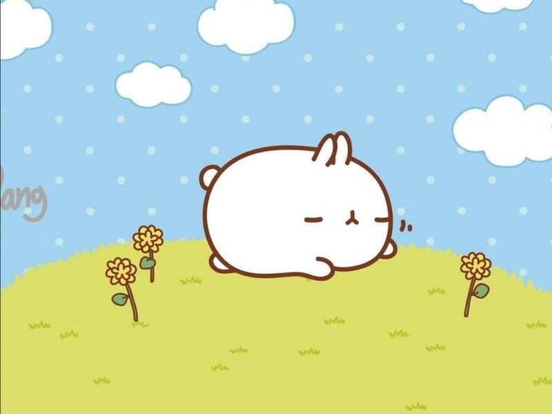 wallpaper kartun lucu dan imut,cartoon,illustration,sky,snout,organism