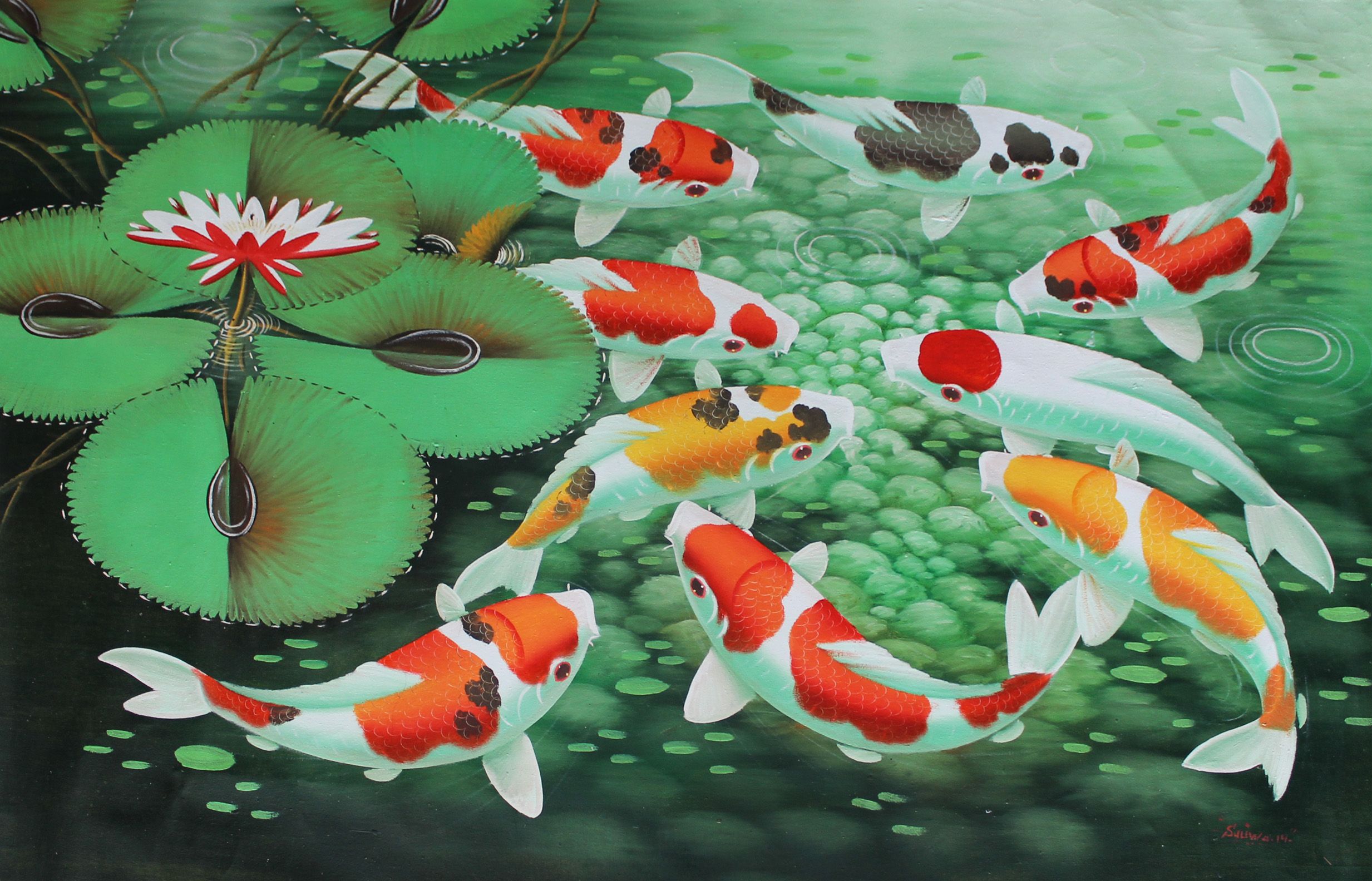 壁紙イカンコイ,恋,魚のいる池,池,魚,魚