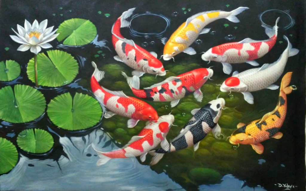 tapete ikan koi,koi,teich,fischteich,fisch,pflanze