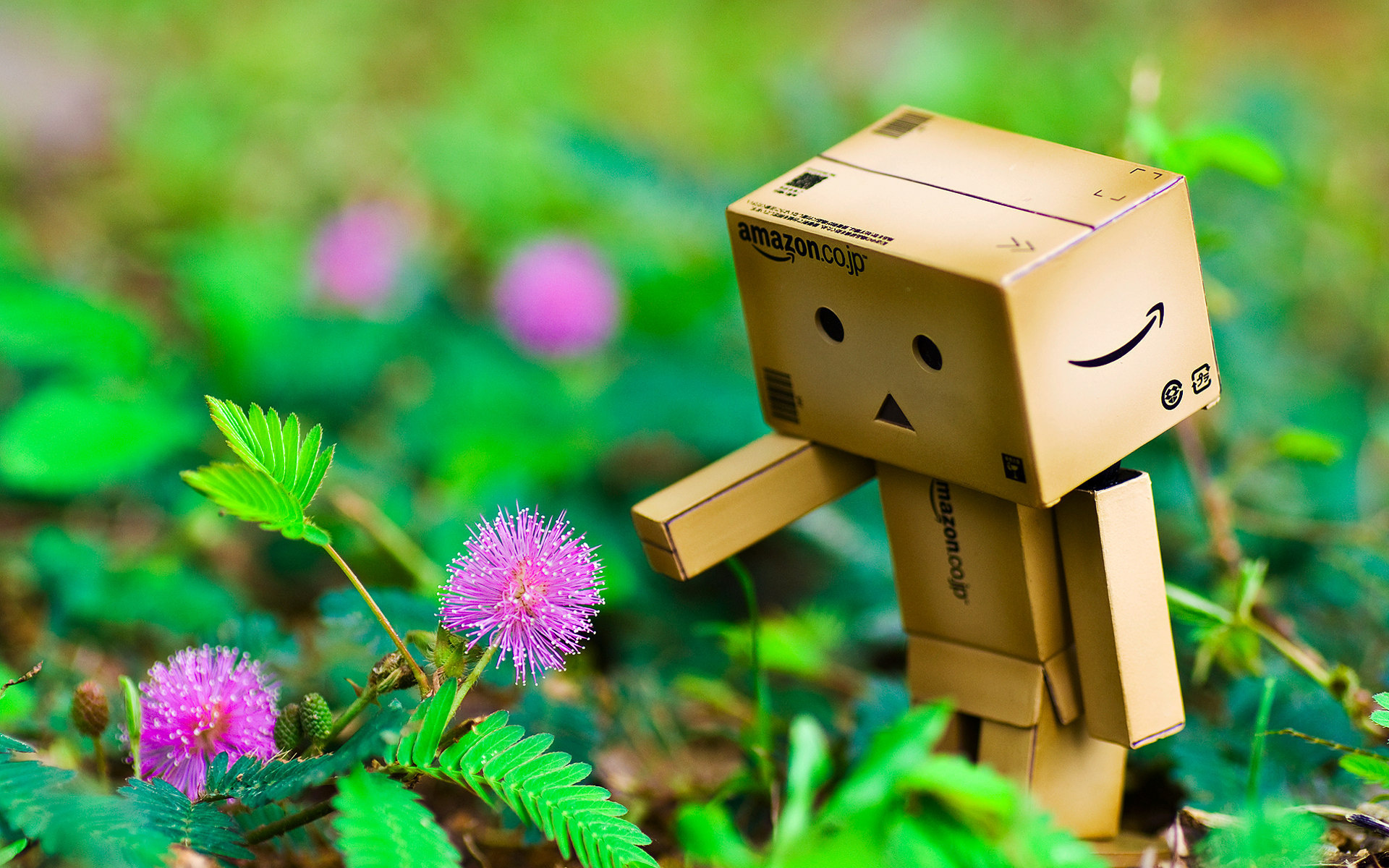 Koleksi Gambar Danbo Keren Amazon Box WallpaperUse