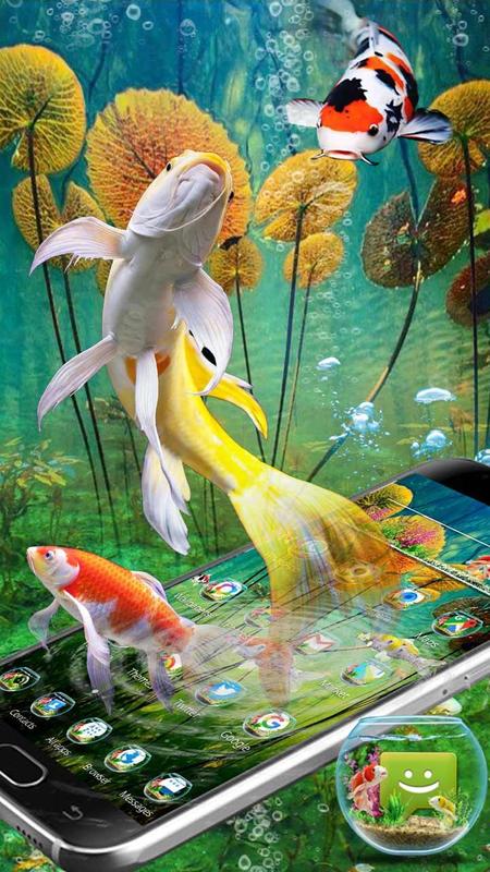 fondos de pantalla kunci layar,pez alimentador,pez,koi,pez,pez de colores