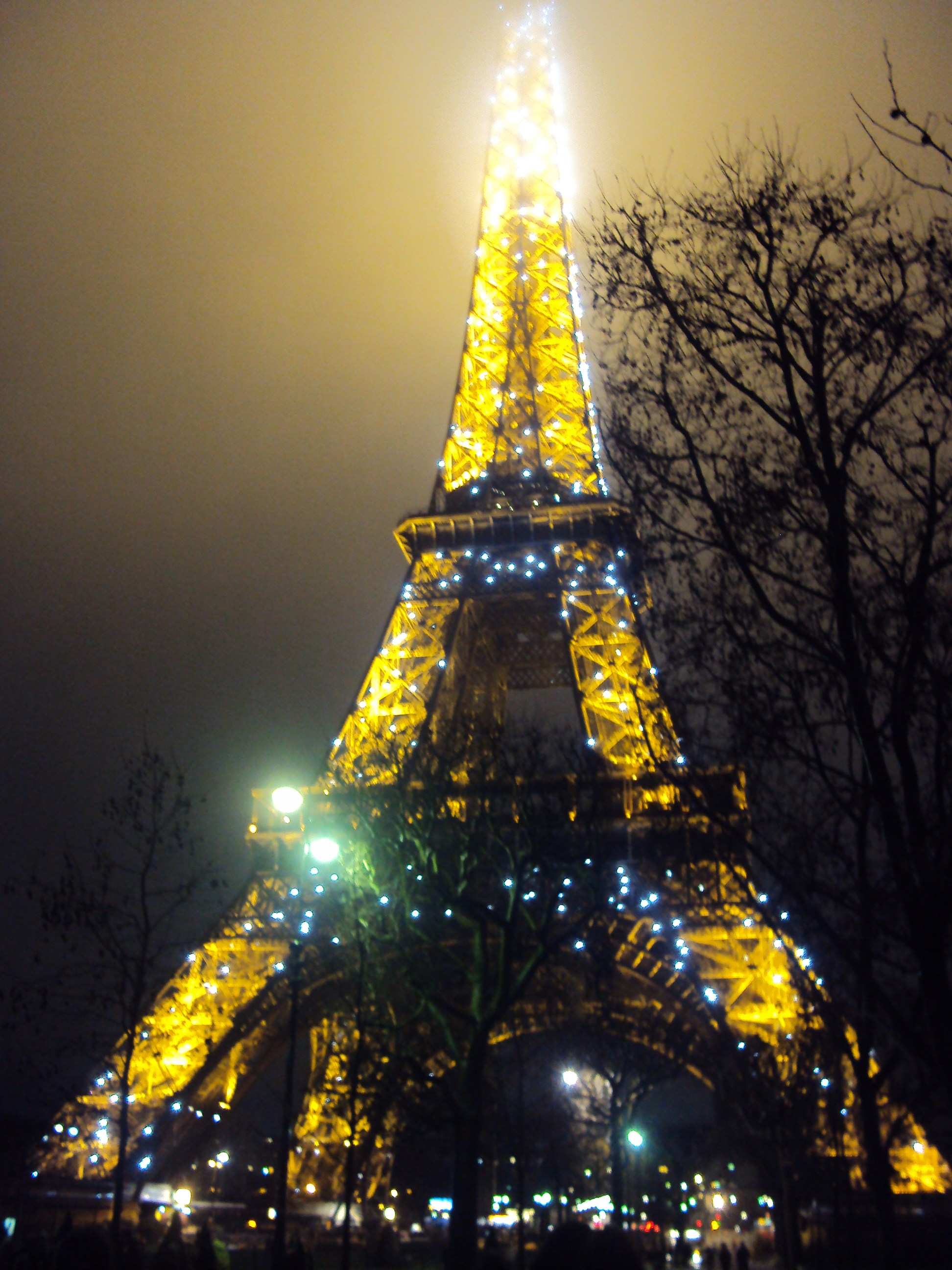 fondo de pantalla de gambar whatsapp,torre,noche,árbol,arquitectura,monumento