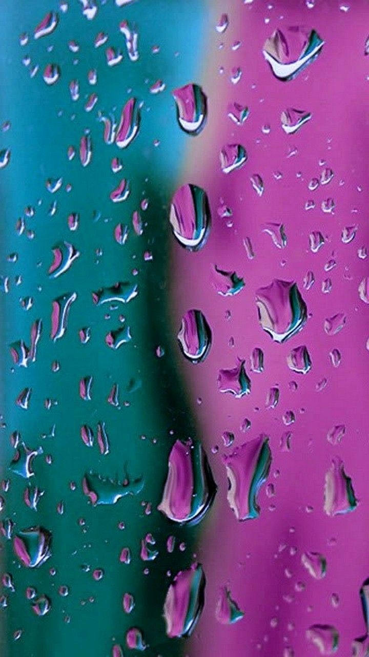 gambar wallpaper whatsapp,water,pink,drop,dew,moisture