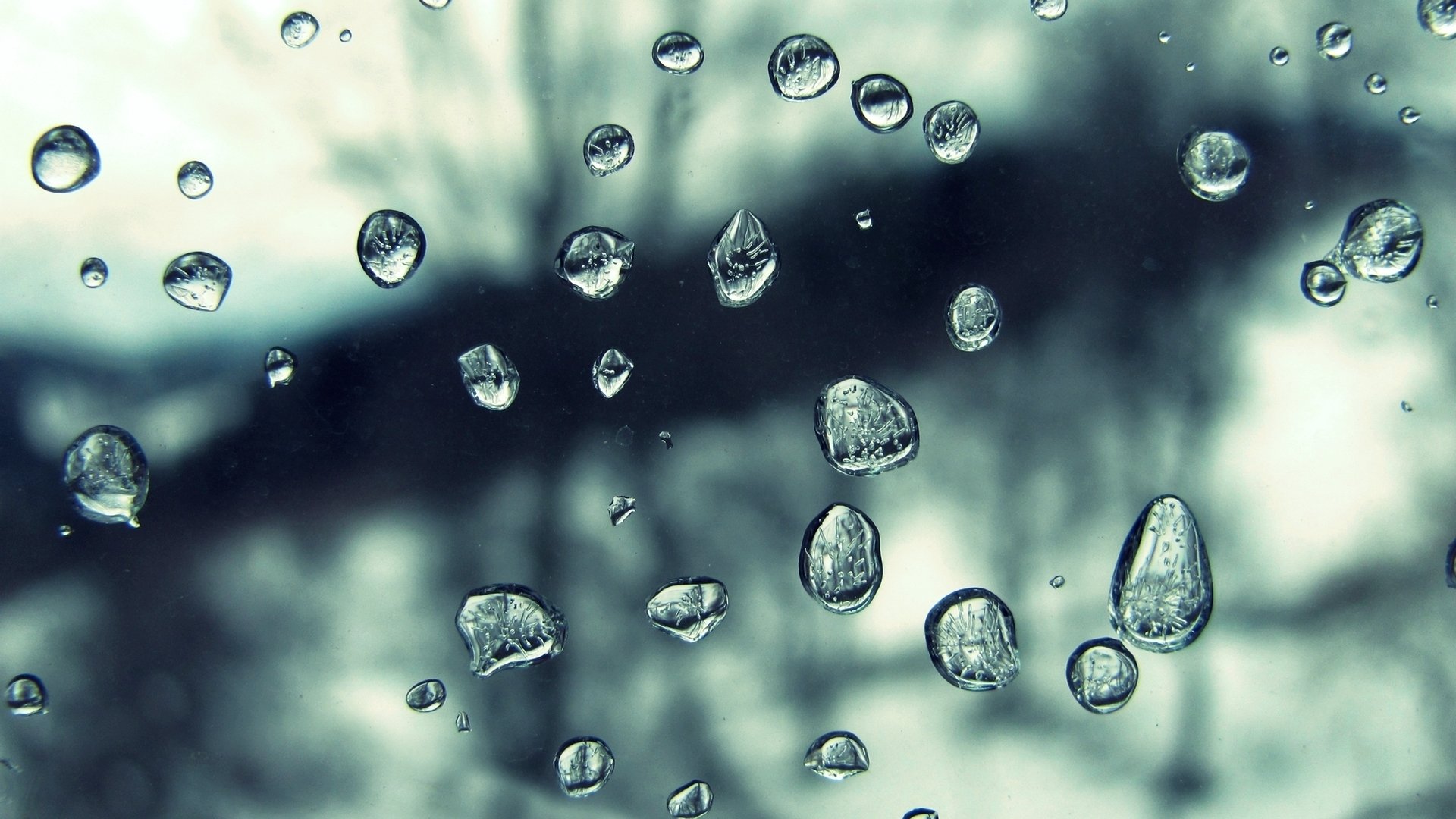 wallpaper hujan,dew,moisture,water,drop,rain