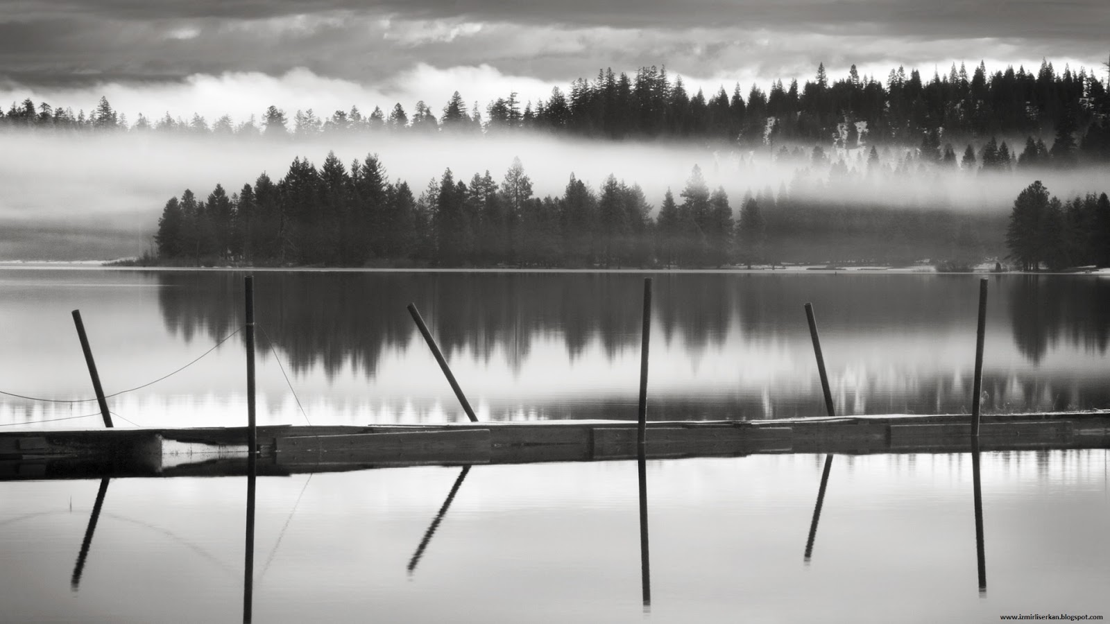 fond d'écran siyah,l'eau,blanc,noir,la nature,noir et blanc