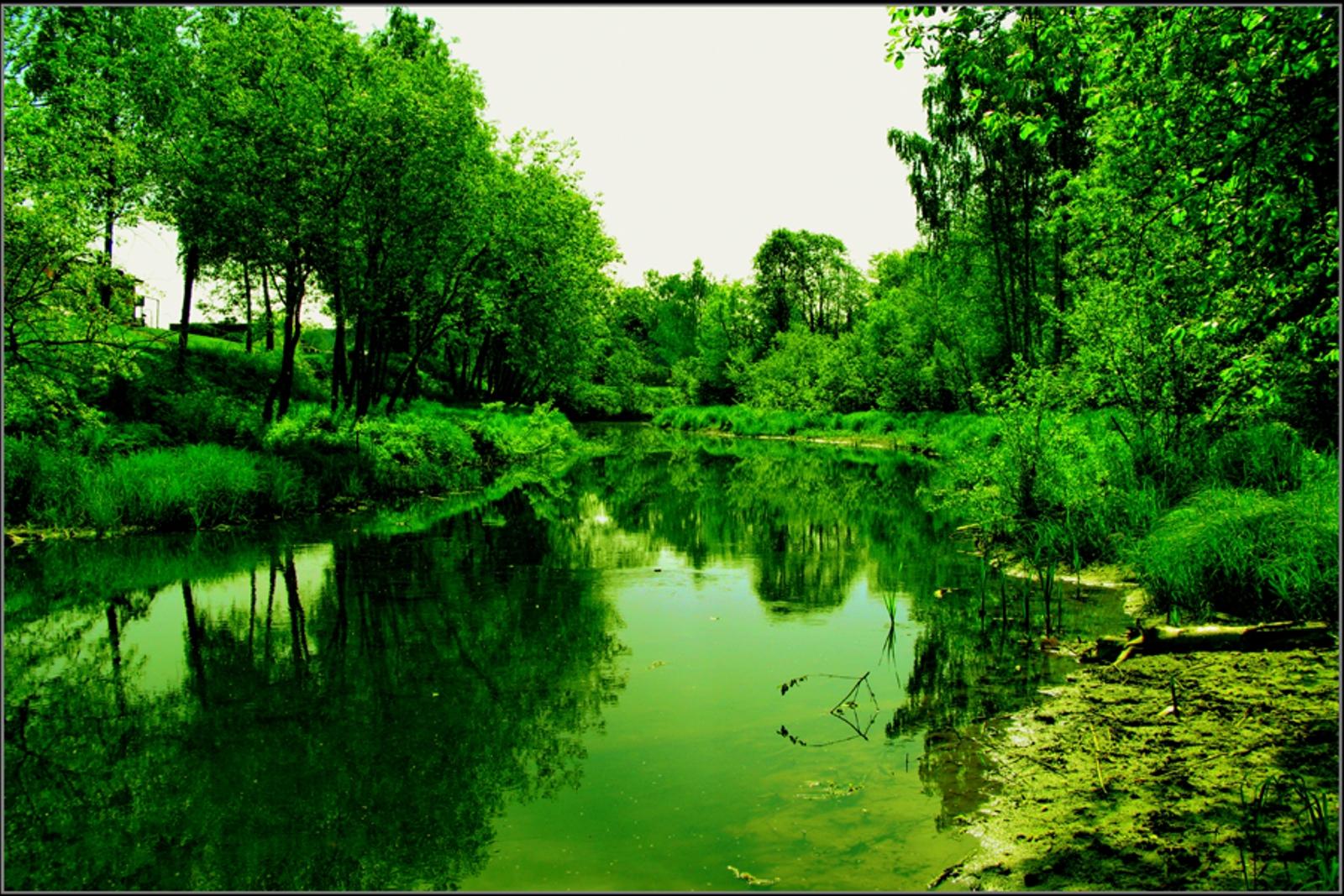 wallpaper hijau,natural landscape,green,nature,body of water,vegetation