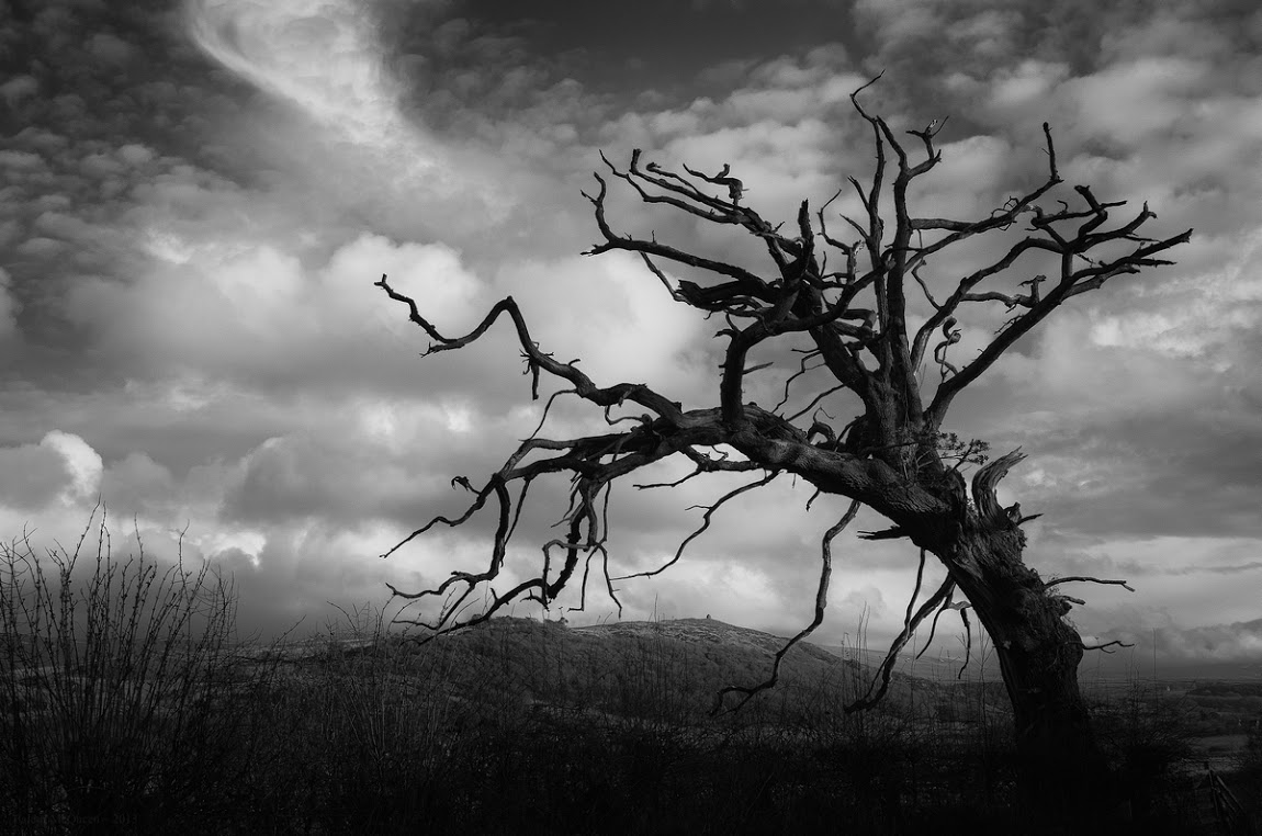 tapete hitam putih,himmel,natur,natürliche landschaft,baum,monochrome fotografie