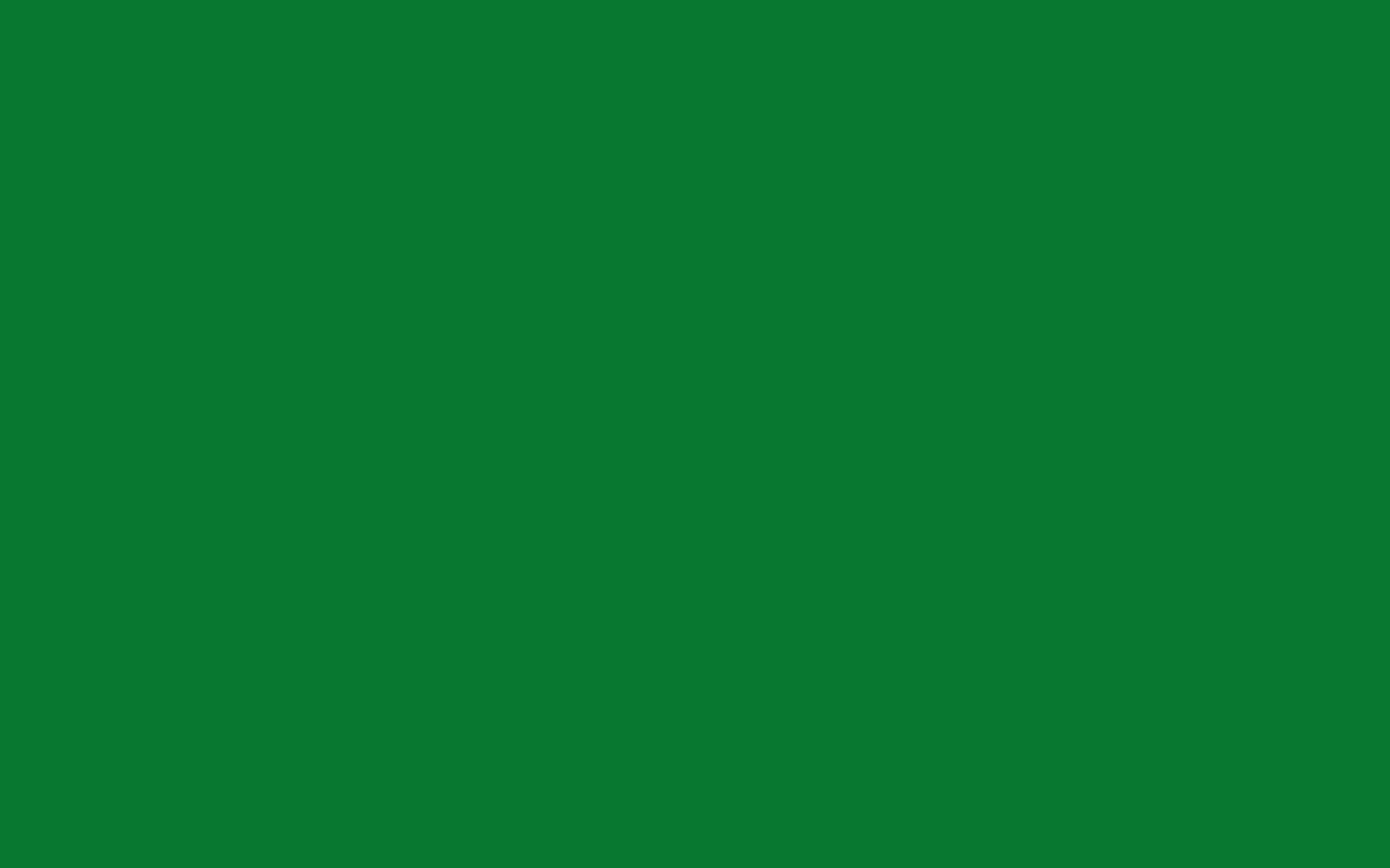 fondo de pantalla de color verde,verde,césped,hoja,amarillo,césped artificial