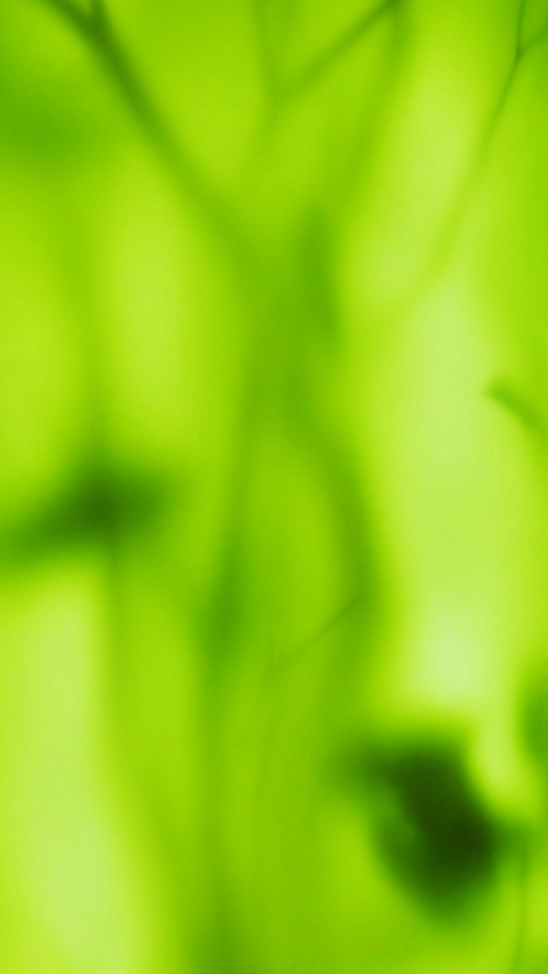 green colour wallpaper,green,nature,leaf,grass,close up
