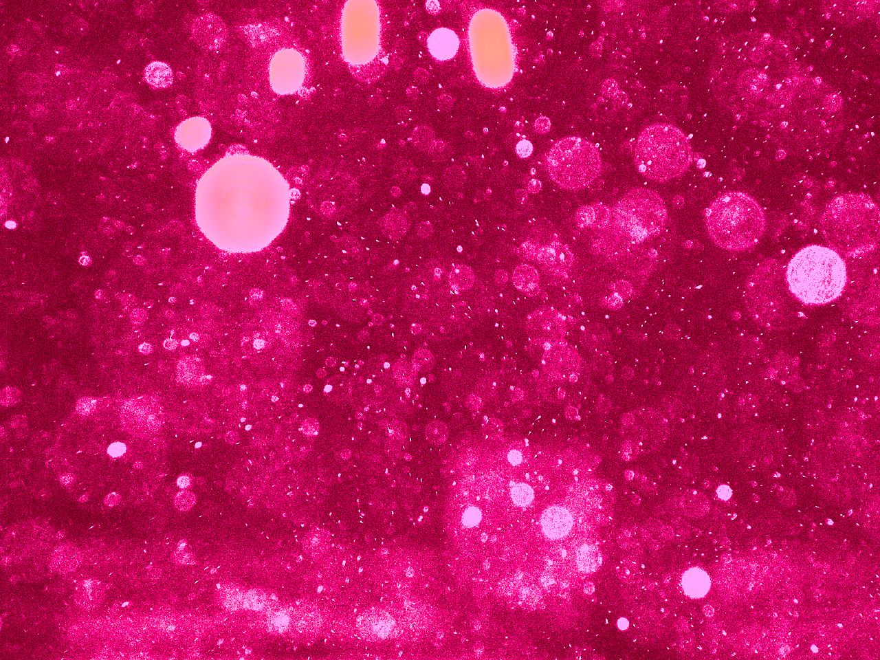 pink sparkle wallpaper,pink,red,glitter,magenta,purple