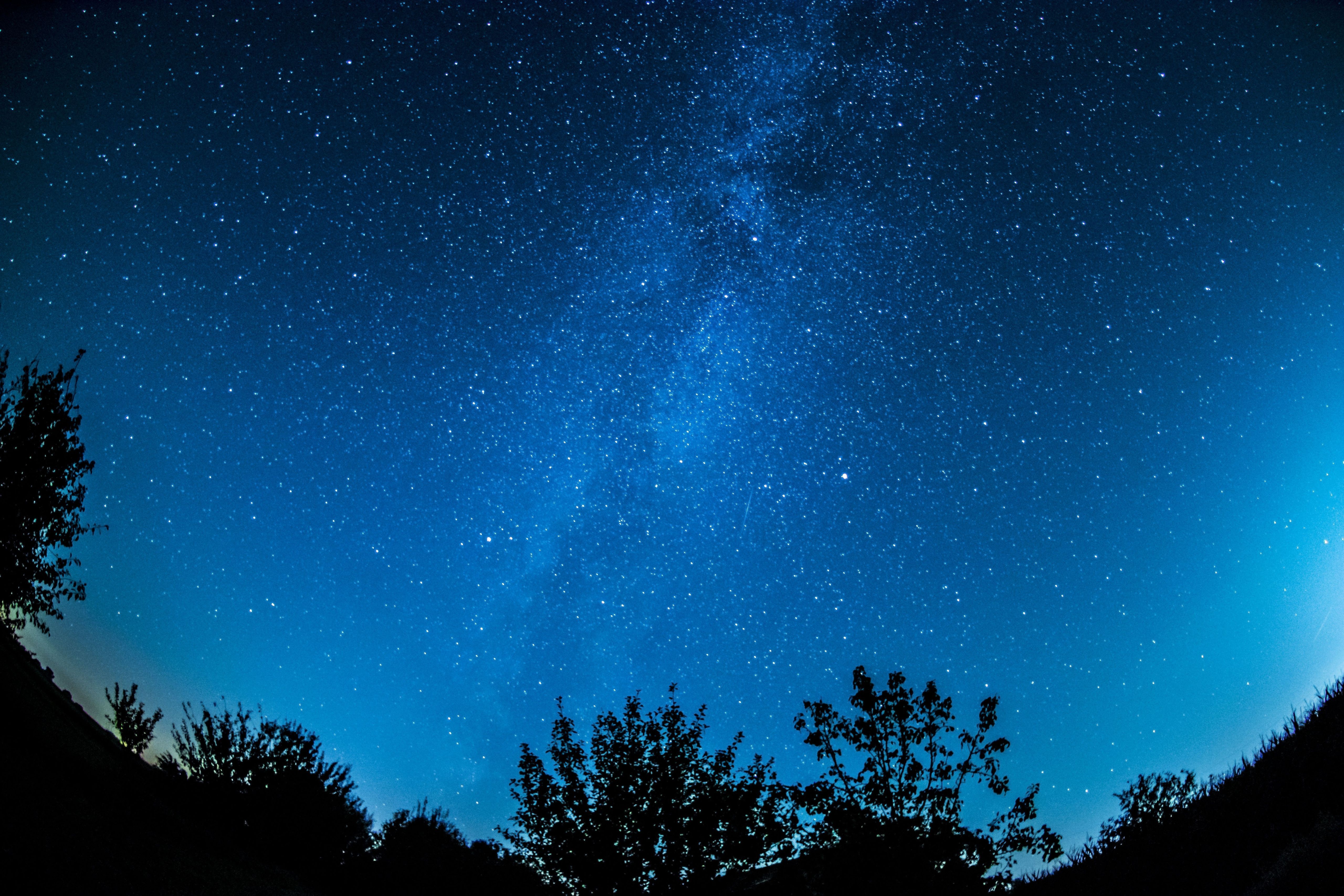 cielo notturno wallpaper hd,cielo,natura,blu,notte,albero