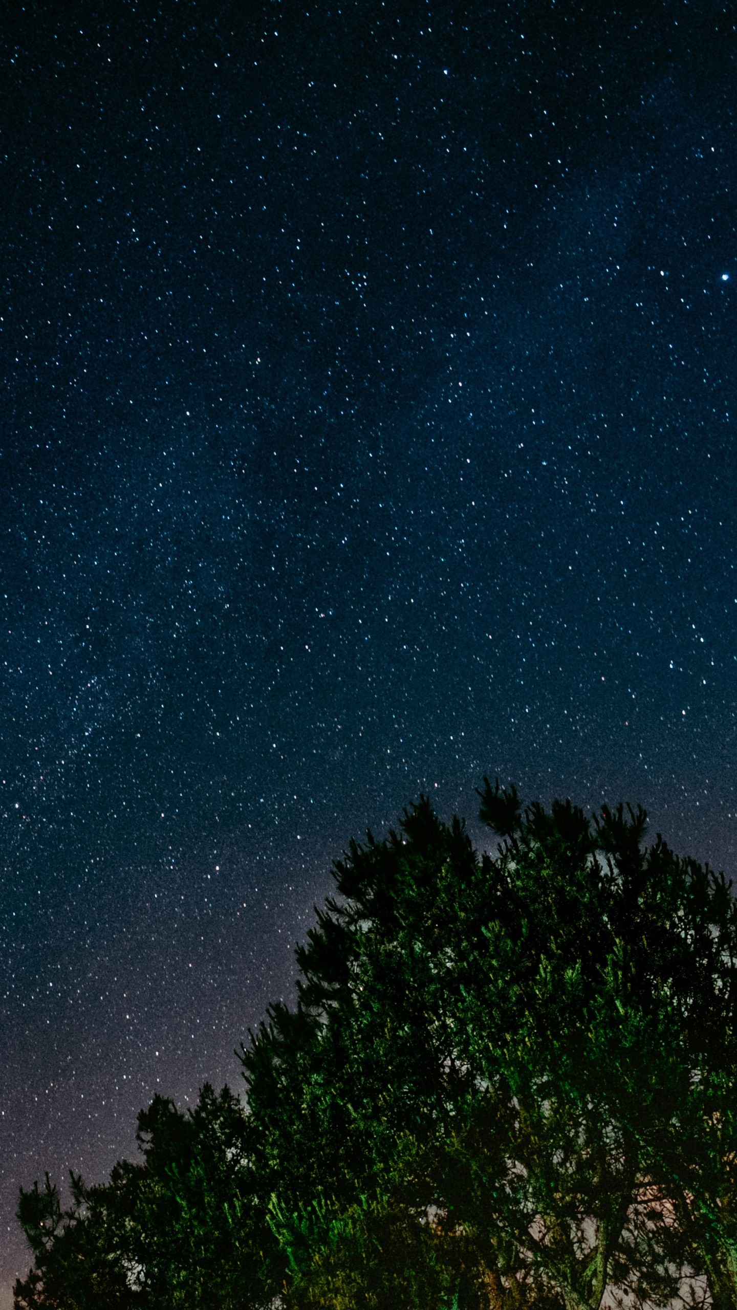 sternennacht tapete,himmel,natur,nacht,atmosphäre,wolke