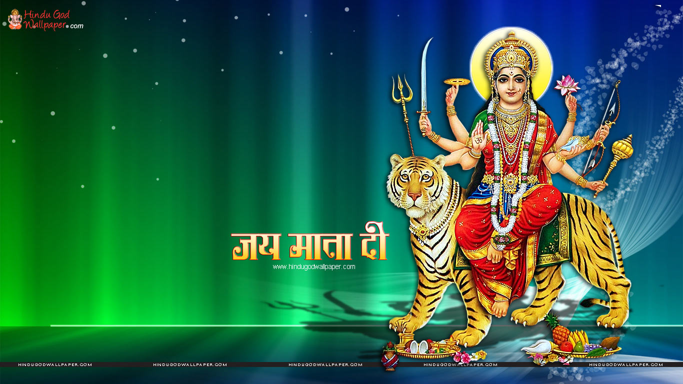 mata rani wallpaper full size,talent show,felidae,performance