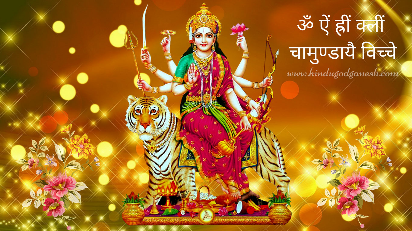 mata rani wallpaper full size,event,tradition,felidae,temple,place of worship