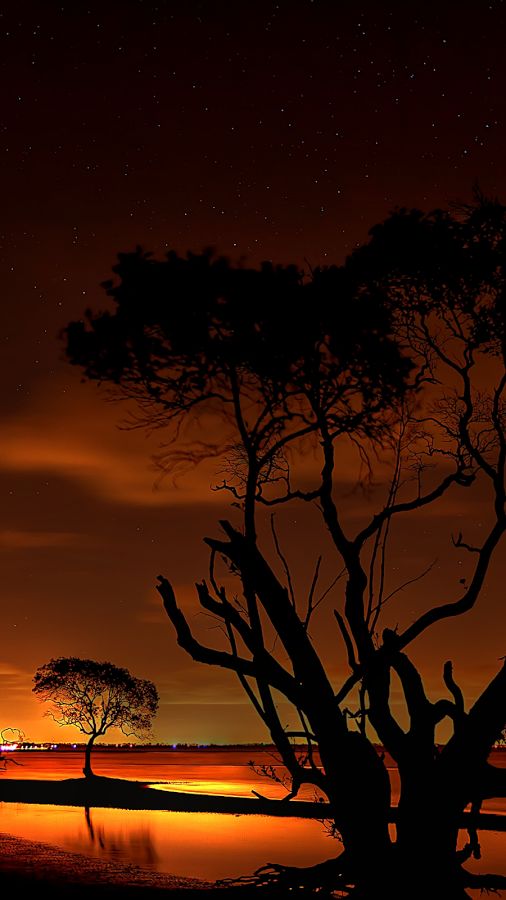 mejor fondo de pantalla para whatsapp,cielo,naturaleza,árbol,paisaje natural,puesta de sol