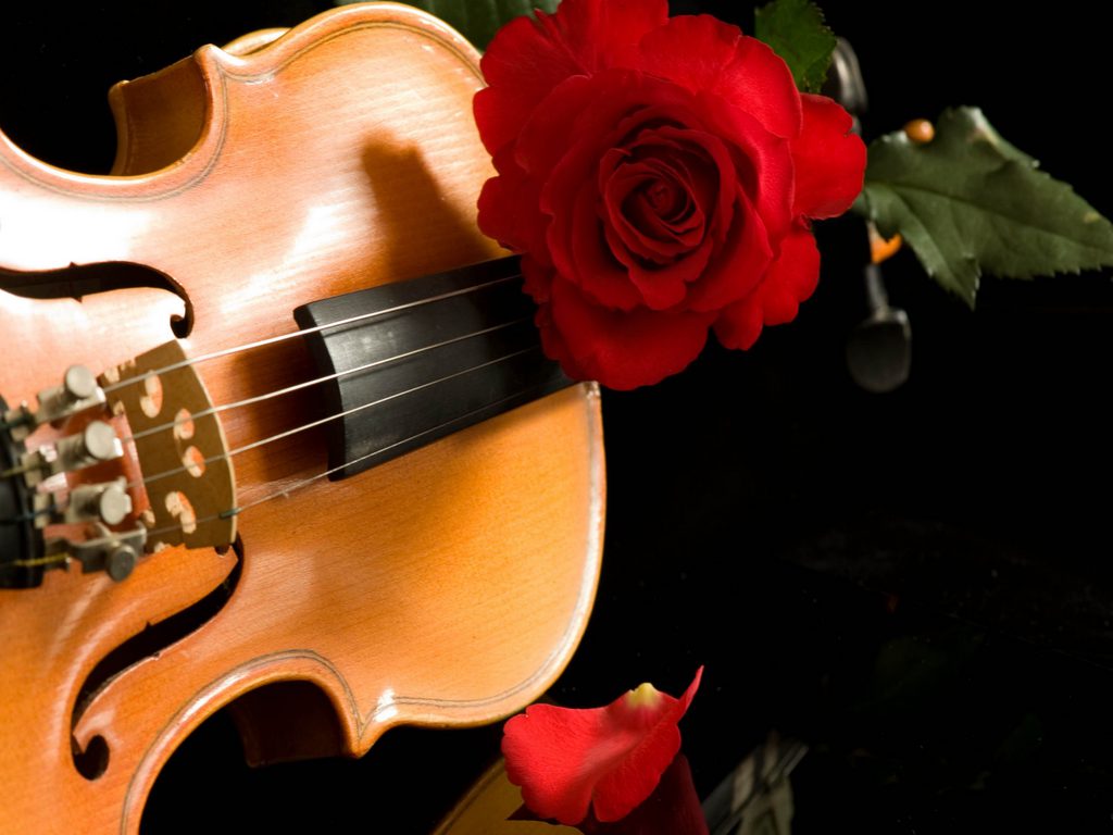 status hintergrundbild,musikinstrument,gitarre,violine,musik ,gezupfte saiteninstrumente