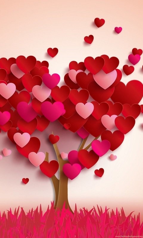 귀여운 사랑 배경 화면,심장,분홍,꽃잎,빨간,발렌타인 데이