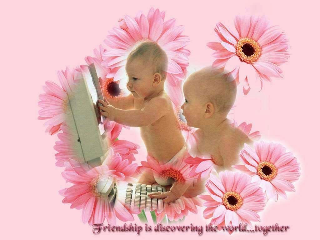 cute friendship wallpapers images,pink,gerbera,love,child,flower
