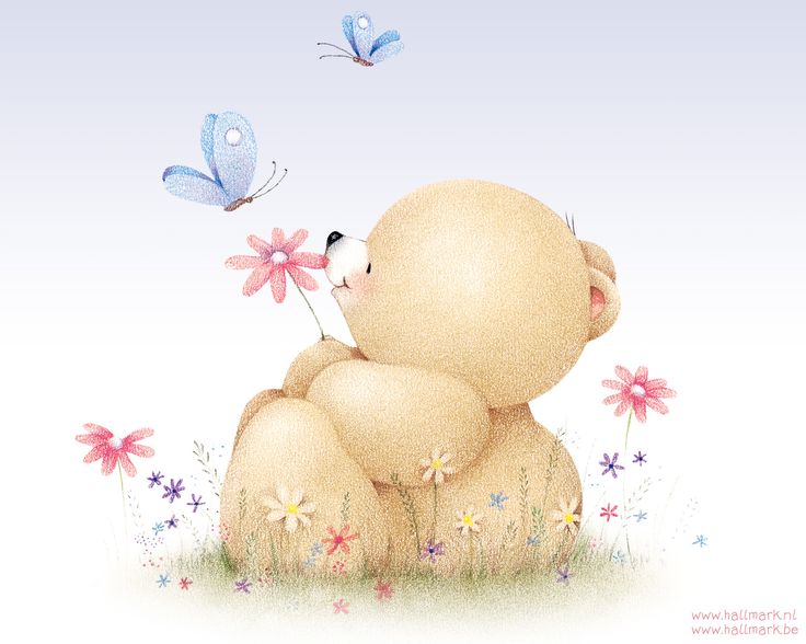 friends forever wallpaper,butterfly,illustration,moths and butterflies,pollinator